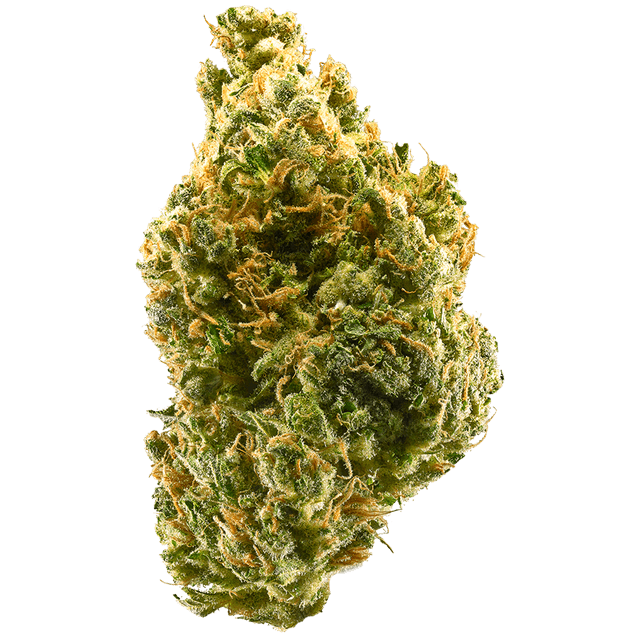 Tangie (Sativa) cannabis strain