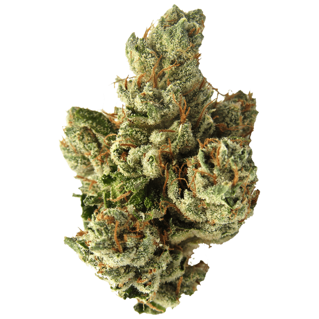SFV OG (Hybrid) cannabis strain