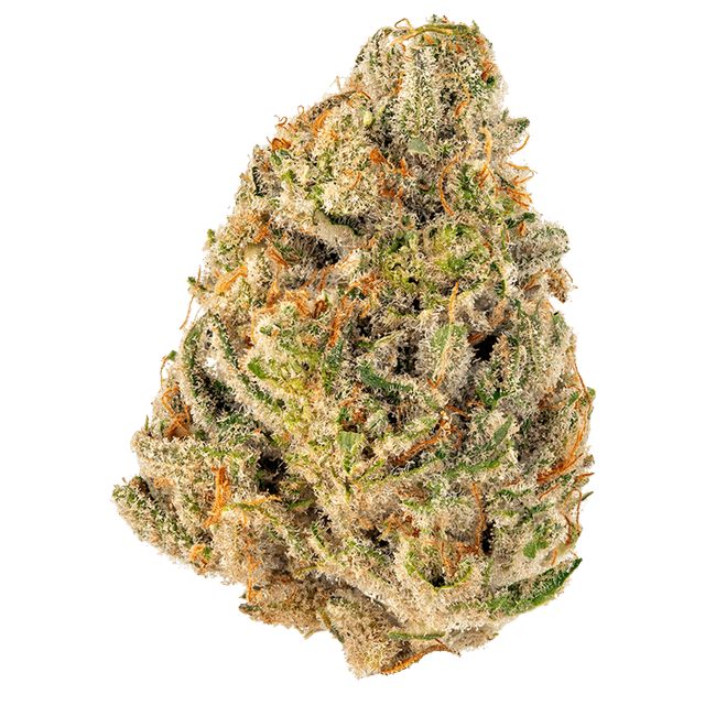 Clementine (Sativa) cannabis strain