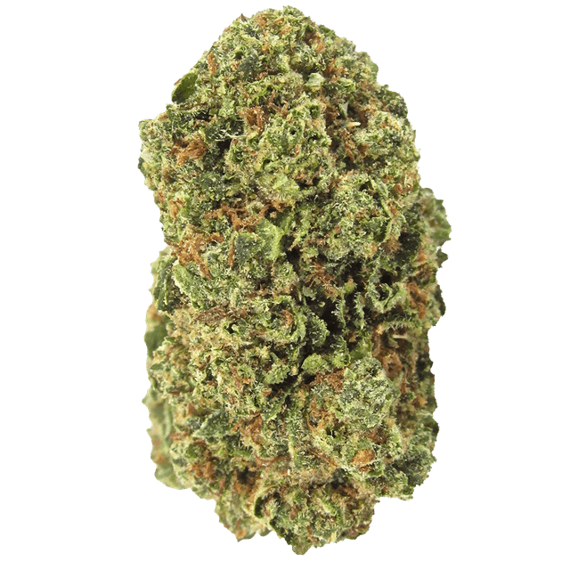 Fire OG (Hybrid) cannabis strain