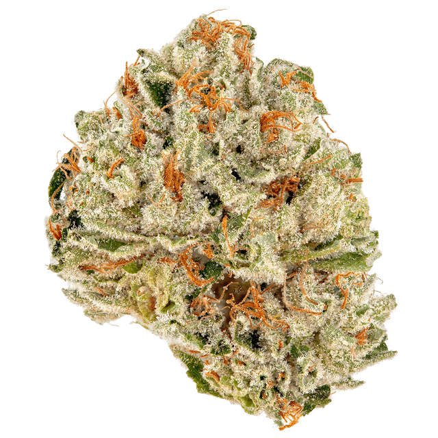 Sour Kush (Hybrid) cannabis strain