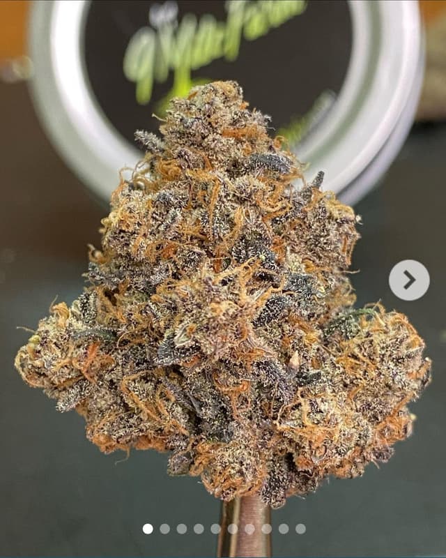 Black Cherry Garlic (Indica) cannabis strain