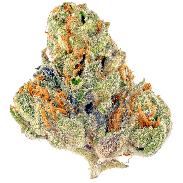 Tahoe OG (Hybrid) cannabis strain