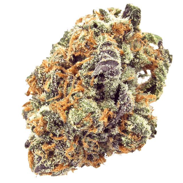 Mimosa (Hybrid) cannabis strain