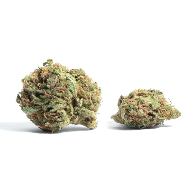 Plushberry (Indica) cannabis strain