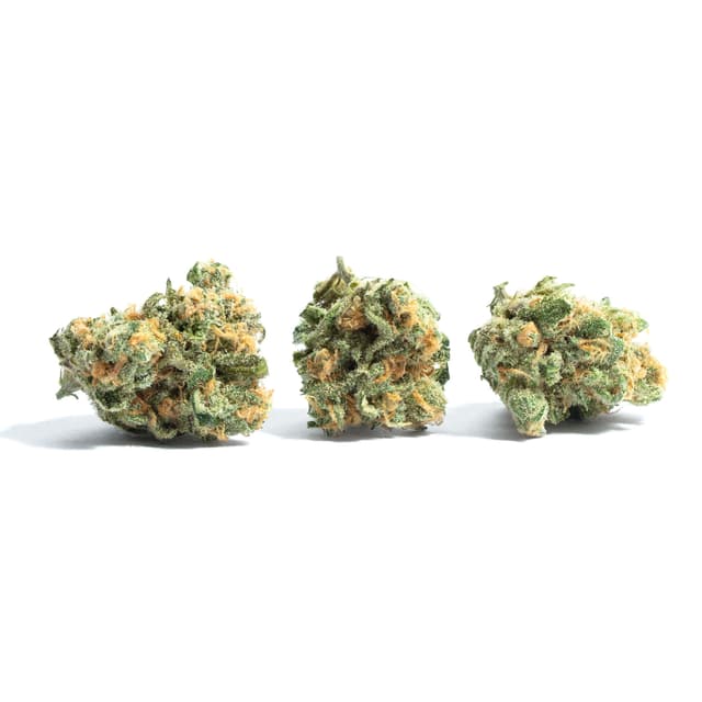 Snoop's Dream (Hybrid) cannabis strain