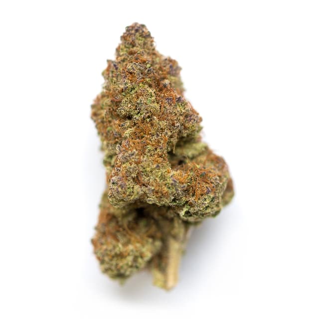 Black Cherry Pie (Hybrid) cannabis strain