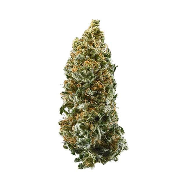 Cannatonic (Hybrid) cannabis strain