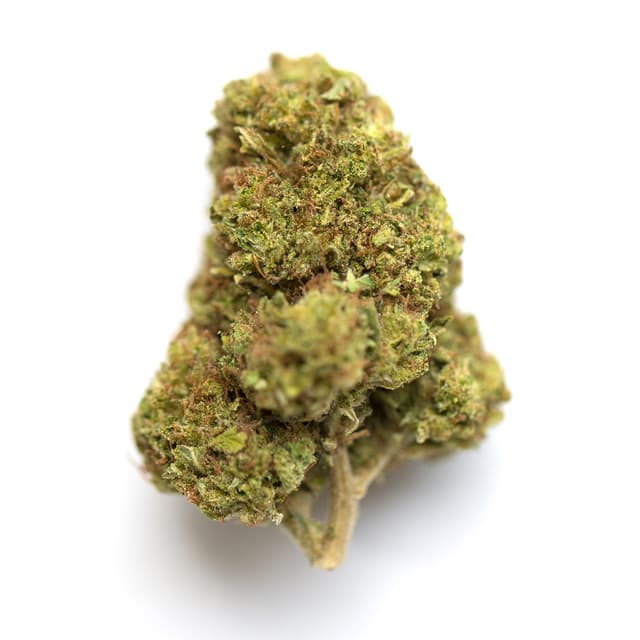 City of God (Hybrid) cannabis strain