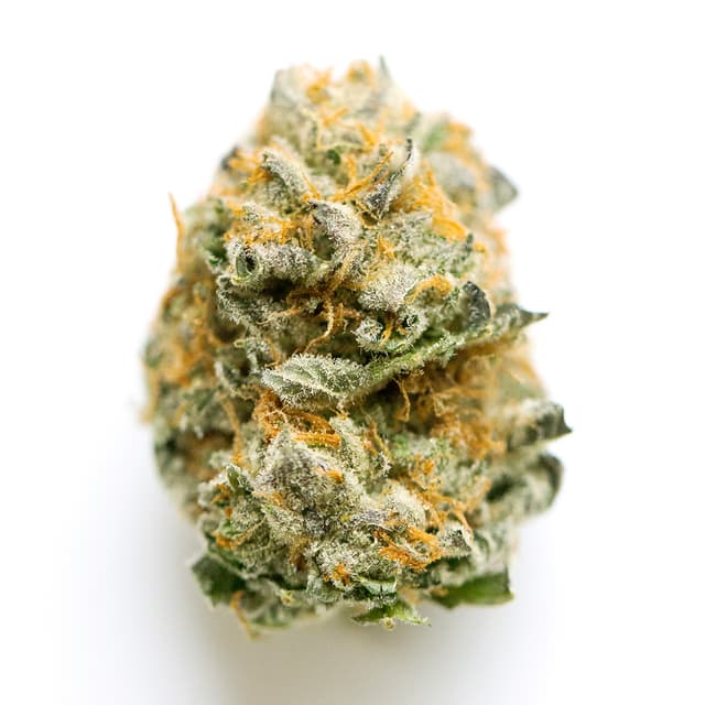 Primus (Indica) cannabis strain