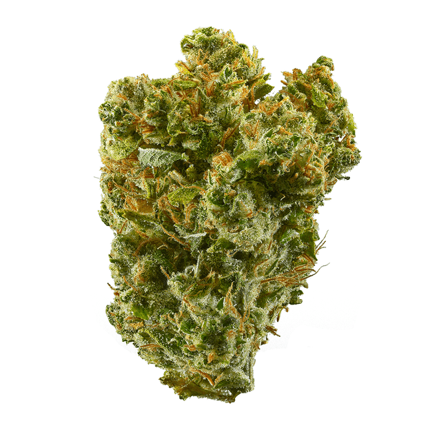 Super Silver Haze (Sativa) cannabis strain