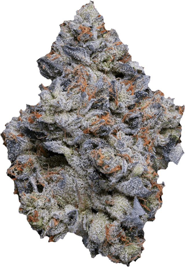 Blue Face (Hybrid) cannabis strain