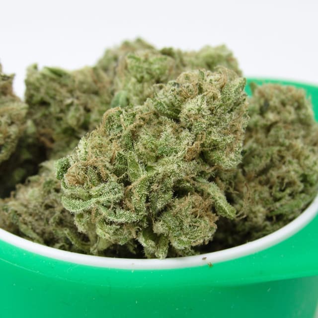 Coolio (Hybrid) cannabis strain