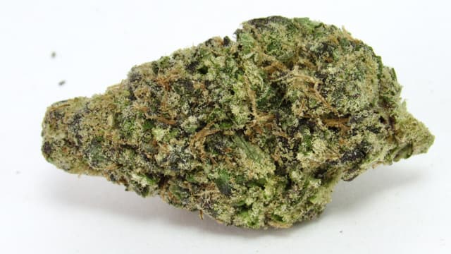 Tropical Burst (Hybrid) cannabis strain