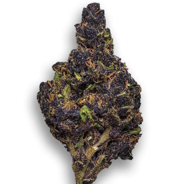 Canna Country #26 (Hybrid) cannabis strain