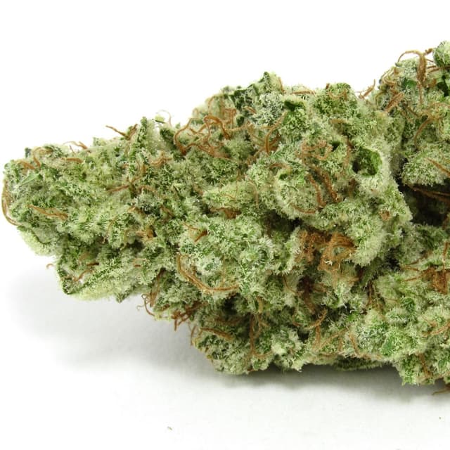 Grumpy Tiger (Hybrid) cannabis strain
