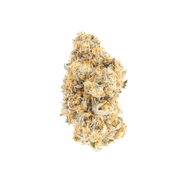 Disco (Hybrid) cannabis strain