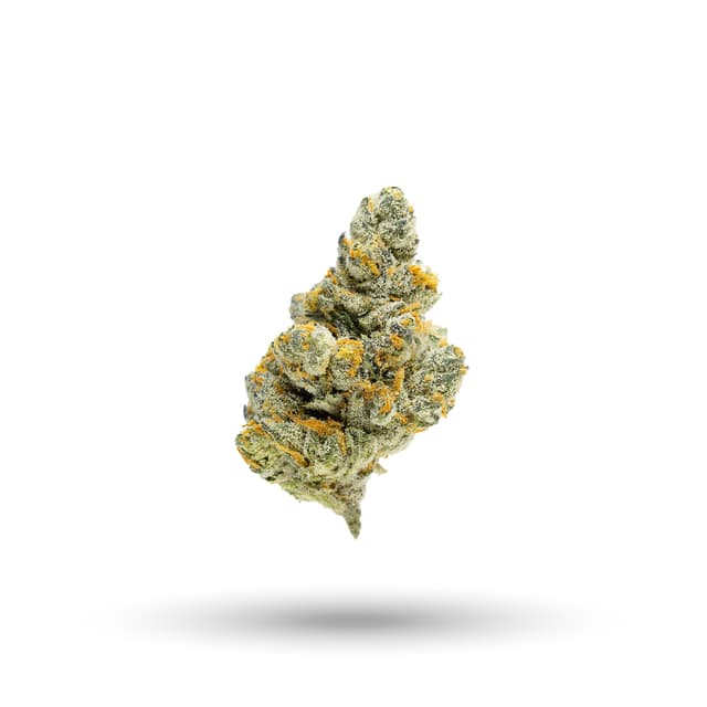 Aspen Dreamz (Sativa) cannabis strain