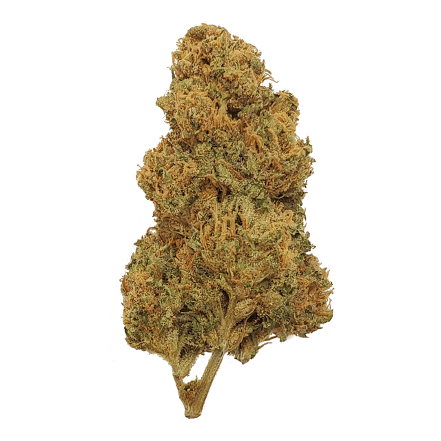 Yard Sale (Sativa) cannabis strain