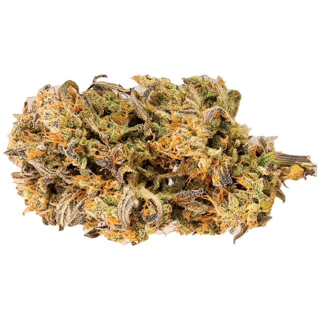 Jet Fuel Mandarine XL Auto (Hybrid) cannabis strain
