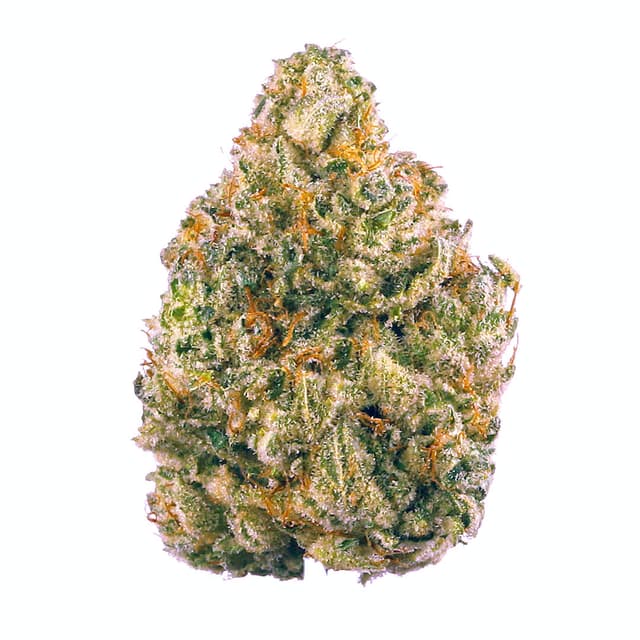 GG5 (Hybrid) cannabis strain