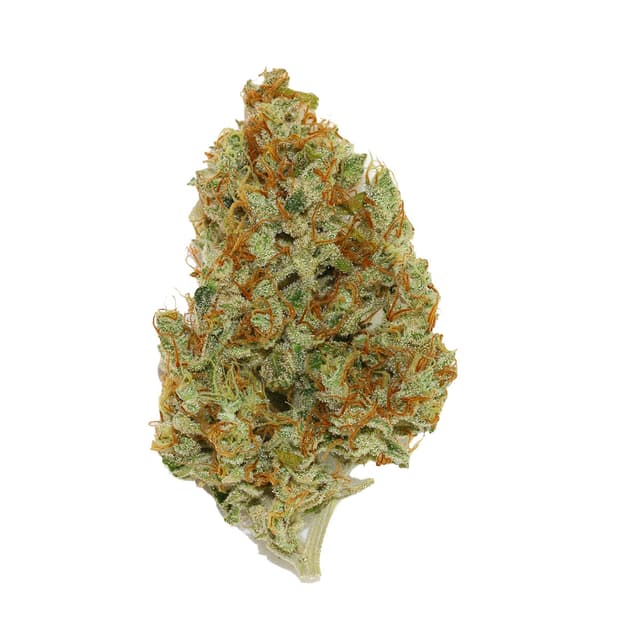 Sweet Cheese (Sativa) cannabis strain