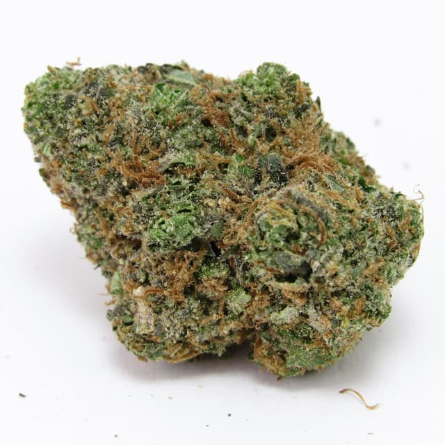 Grapefruit Zlushiez (Hybrid) cannabis strain