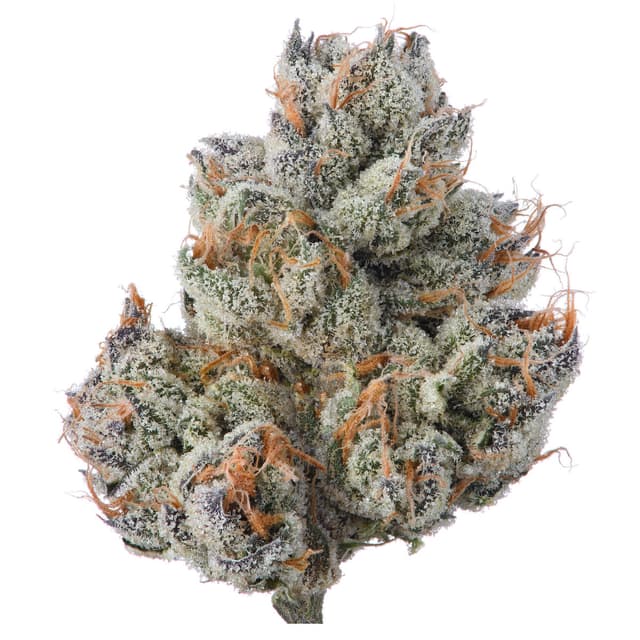 Point Breeze (Hybrid) cannabis strain