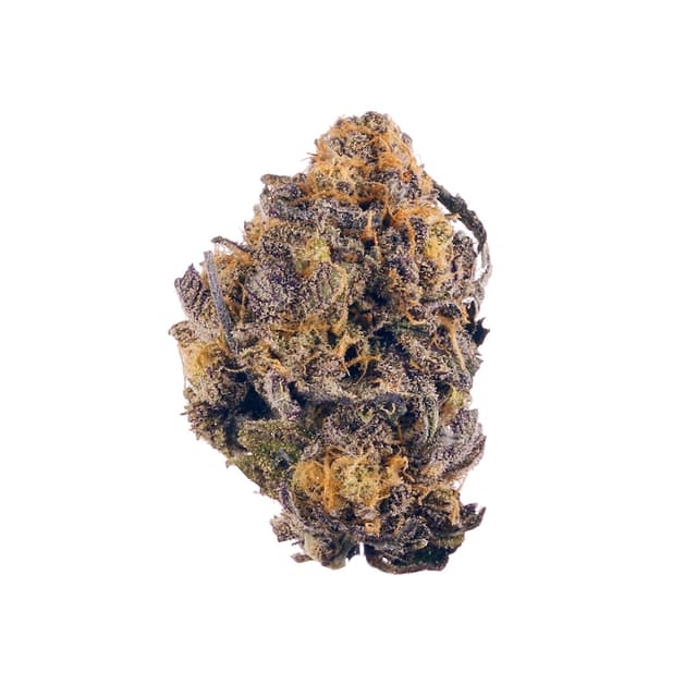 Purple OG Kush (Indica) cannabis strain