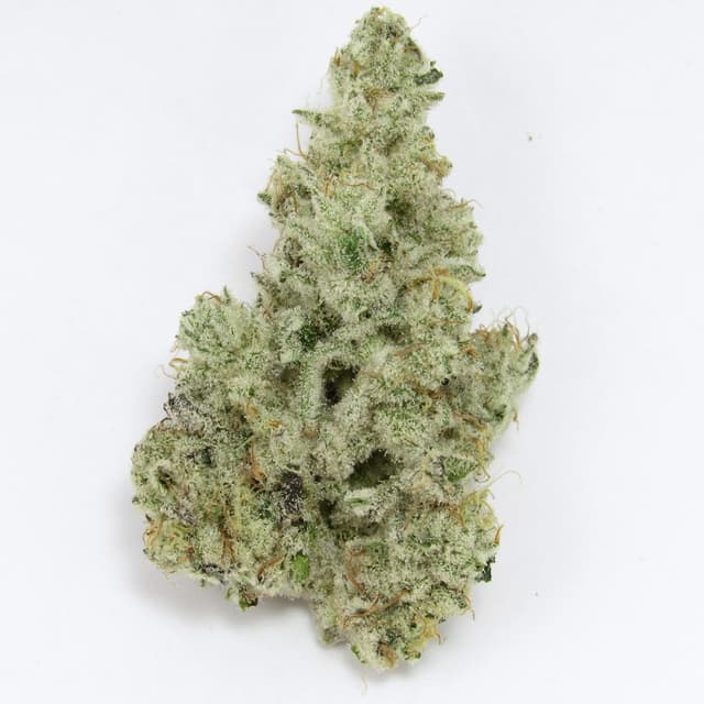 Cap Junky (Hybrid) cannabis strain