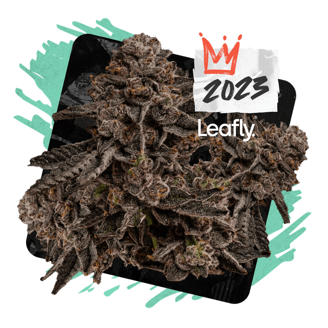 Permanent Marker (Hybrid) cannabis strain