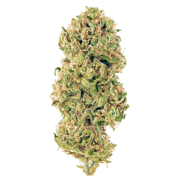 Huckleberry (Hybrid) cannabis strain