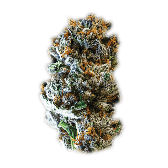 Eternal Death Slayer 3 (Hybrid) cannabis strain