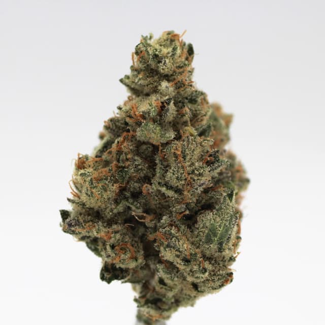 Lemon Winks (Hybrid) cannabis strain