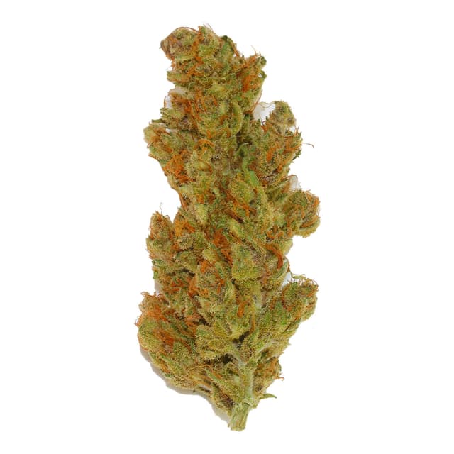 Purple Punch OG (Hybrid) cannabis strain