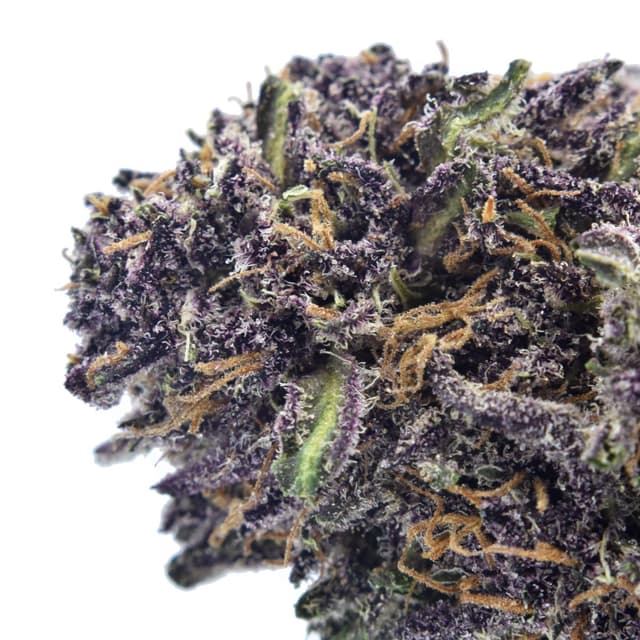 Velvet Purps (Hybrid) cannabis strain
