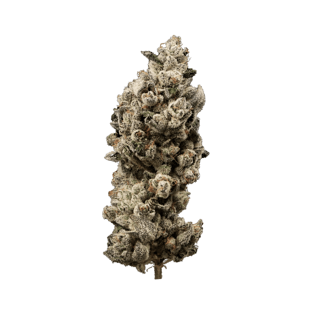 Powder Sugar (Hybrid) cannabis strain