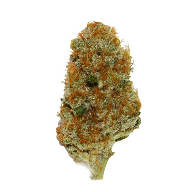 Cream Caramel (Indica) cannabis strain