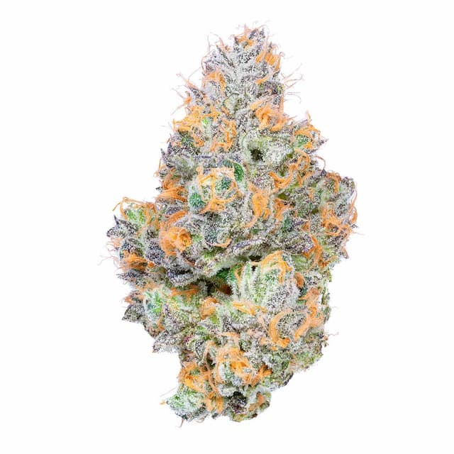 Tropical Z (Hybrid) cannabis strain