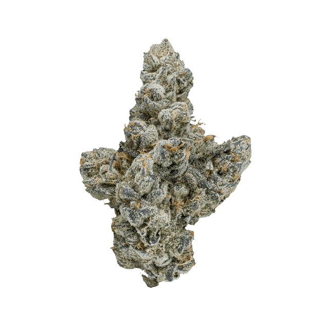 Ambrosia (Maven) (Indica) cannabis strain