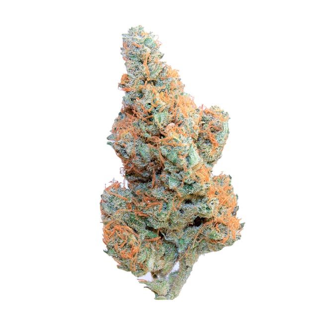 Sweet Mandarine Zkittlez XL Auto (Hybrid) cannabis strain