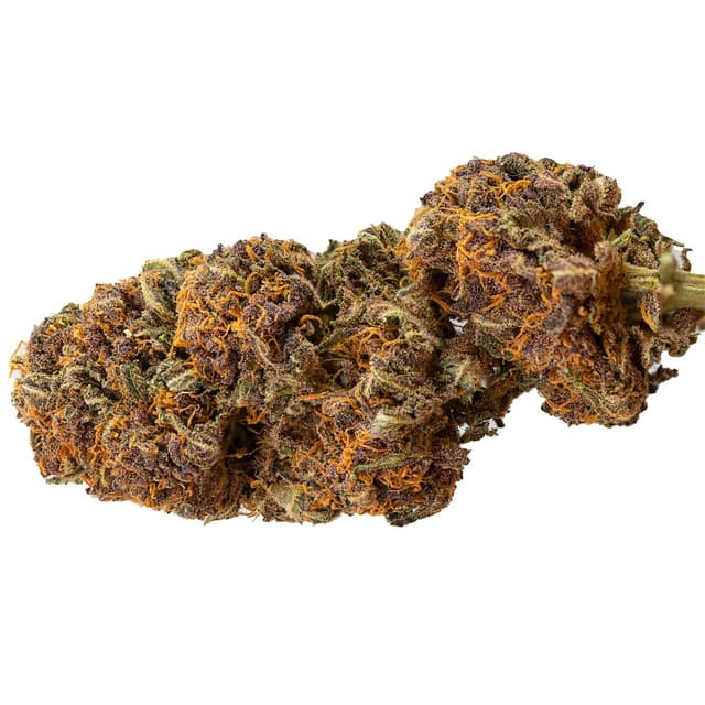 Diablo Rojo XL Auto (Hybrid) cannabis strain