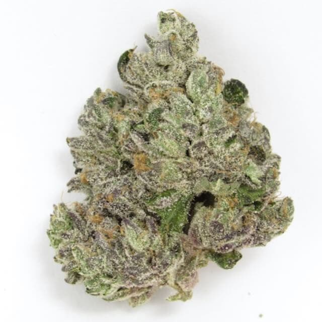 Gotti Beltz (Hybrid) cannabis strain
