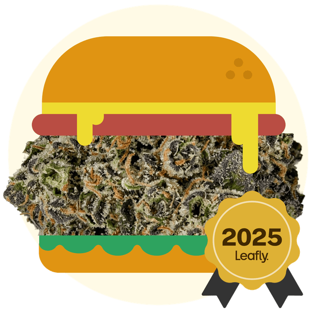 Hash Burger (Hybrid) cannabis strain