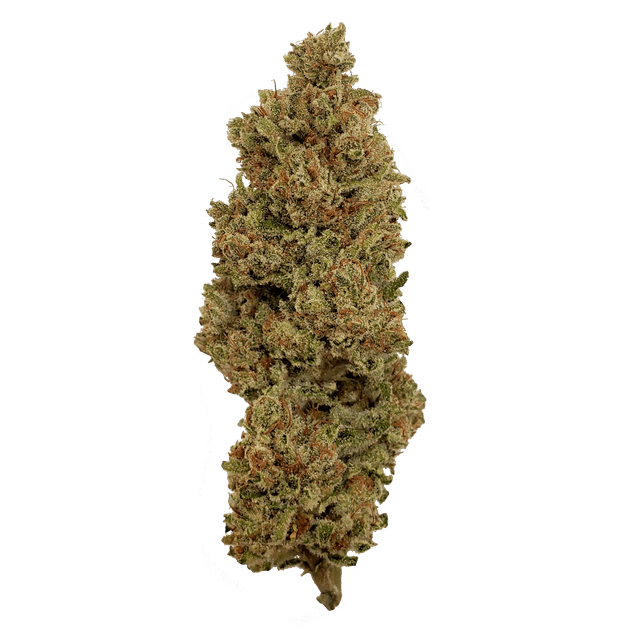Kiwi Daiquiri (Sativa) cannabis strain