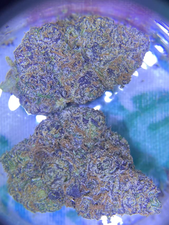 92 Demon (Sativa) cannabis strain