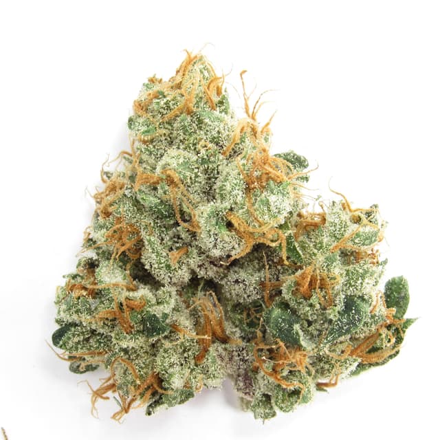 GMO Rootbeer (Hybrid) cannabis strain