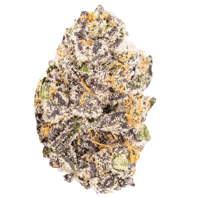 800 Club (Hybrid) cannabis strain