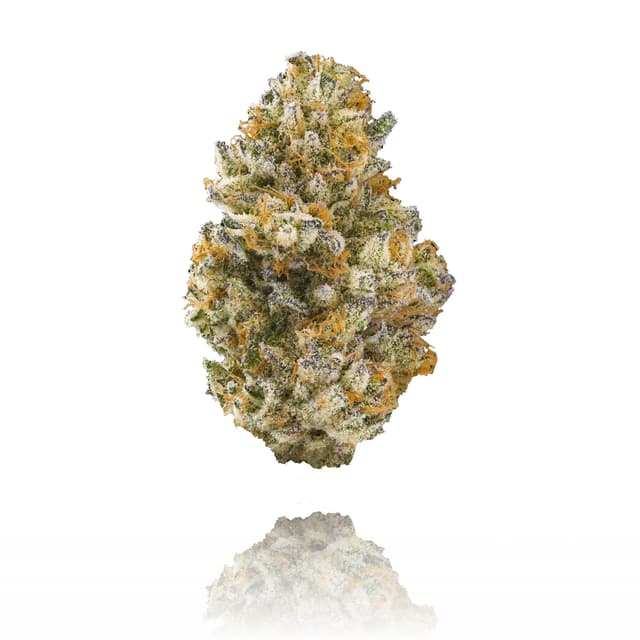 Kiwi Sorbet (Hybrid) cannabis strain