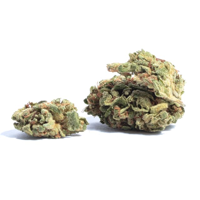 Blueberry Diesel (Hybrid) cannabis strain